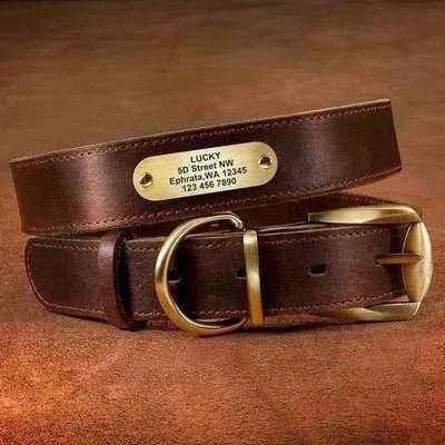 Royal Canine Elegance Personalised Leather Dog Collar & Leash Set ๐พ