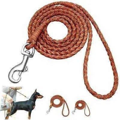 Stylish 4ft Rolled Leather Dog Leash 🐾