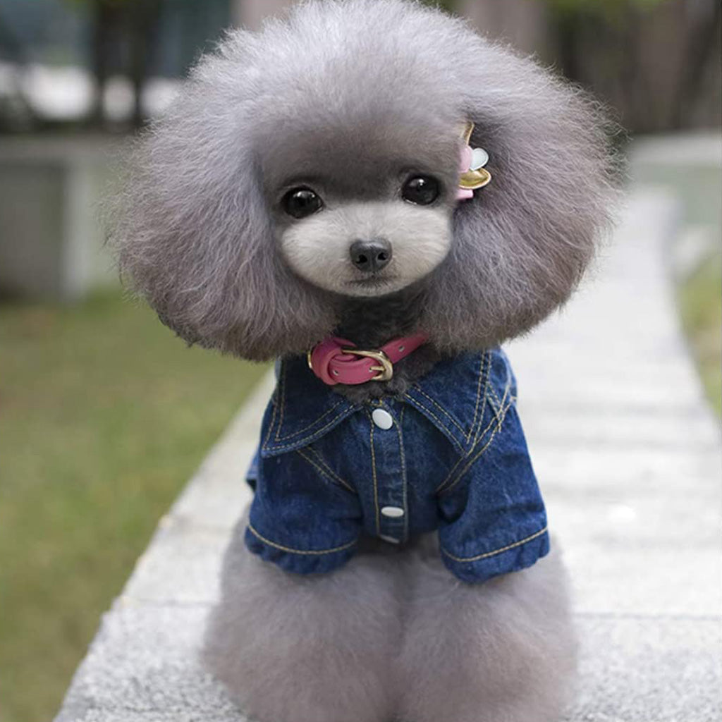 Acid Denim Dog Jacket by Doggy Doo Little
