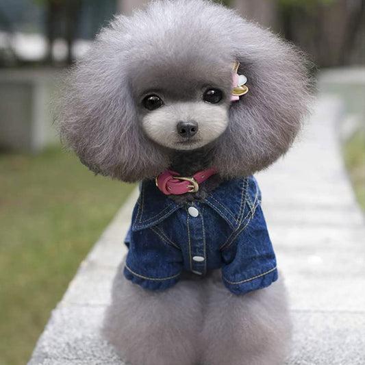 Acid Denim Dog Jacket by Doggy Doo Little