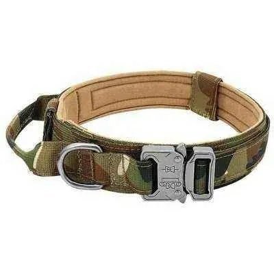 Elite Guardian Military Dog Collar & Bungee Leash Set