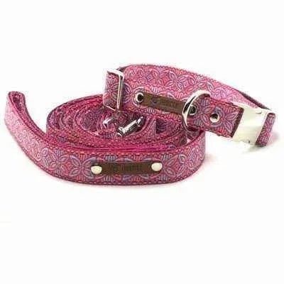 Finnigan's Regal Designer Dog Collar Set