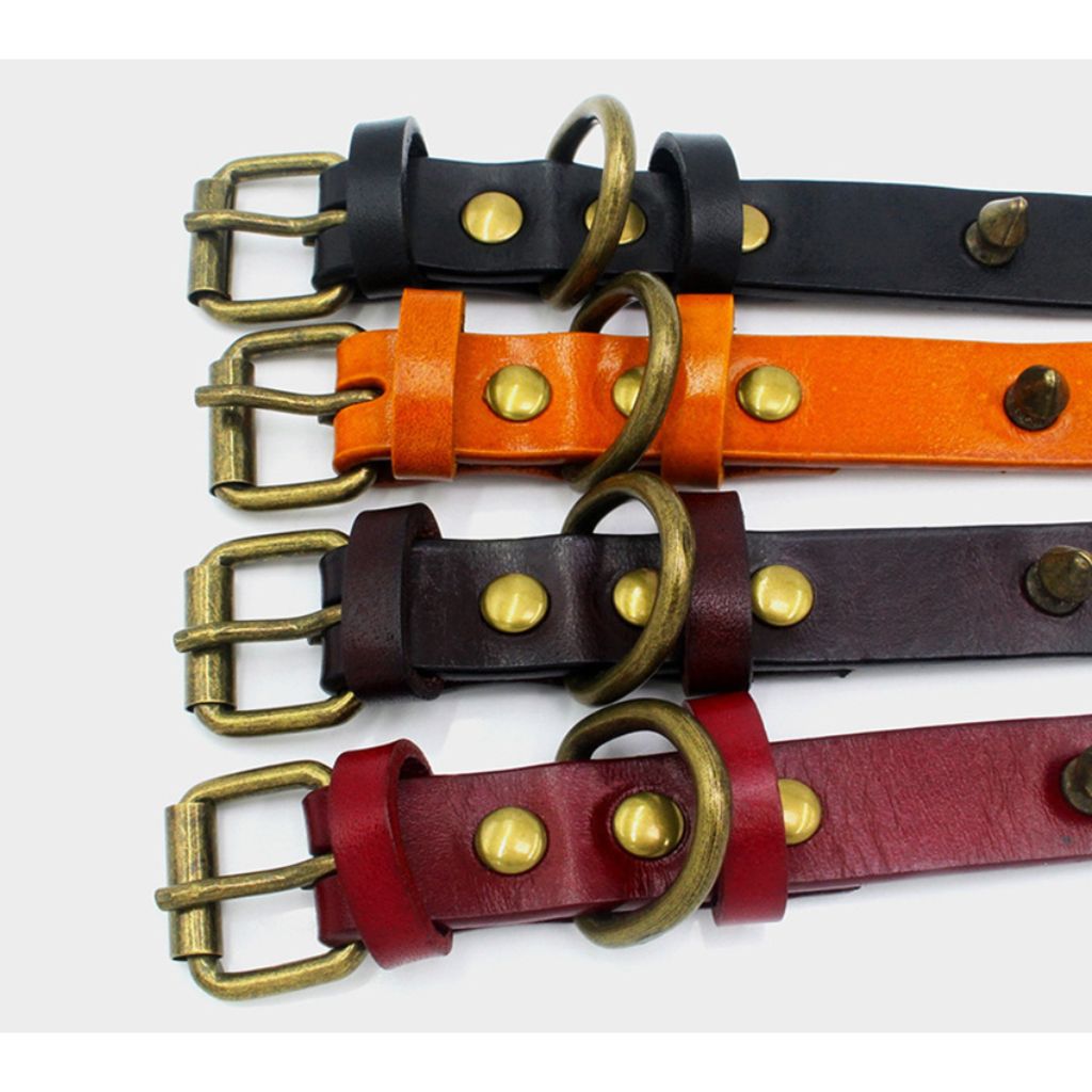Orange Spike Dog Collar - by Doggy Doo Little