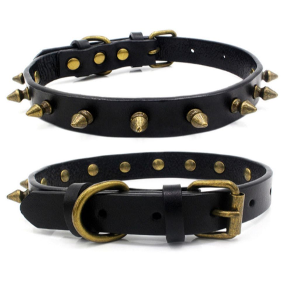 Black Spike Dog Collar - by Doggy Doo Little