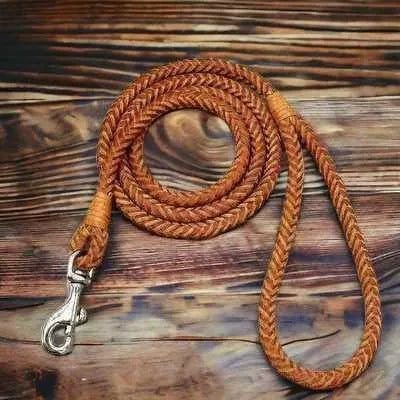 Stylish 4ft Rolled Leather Dog Leash 🐾
