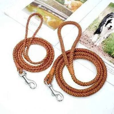 Stylish 4ft Rolled Leather Dog Leash 🐾