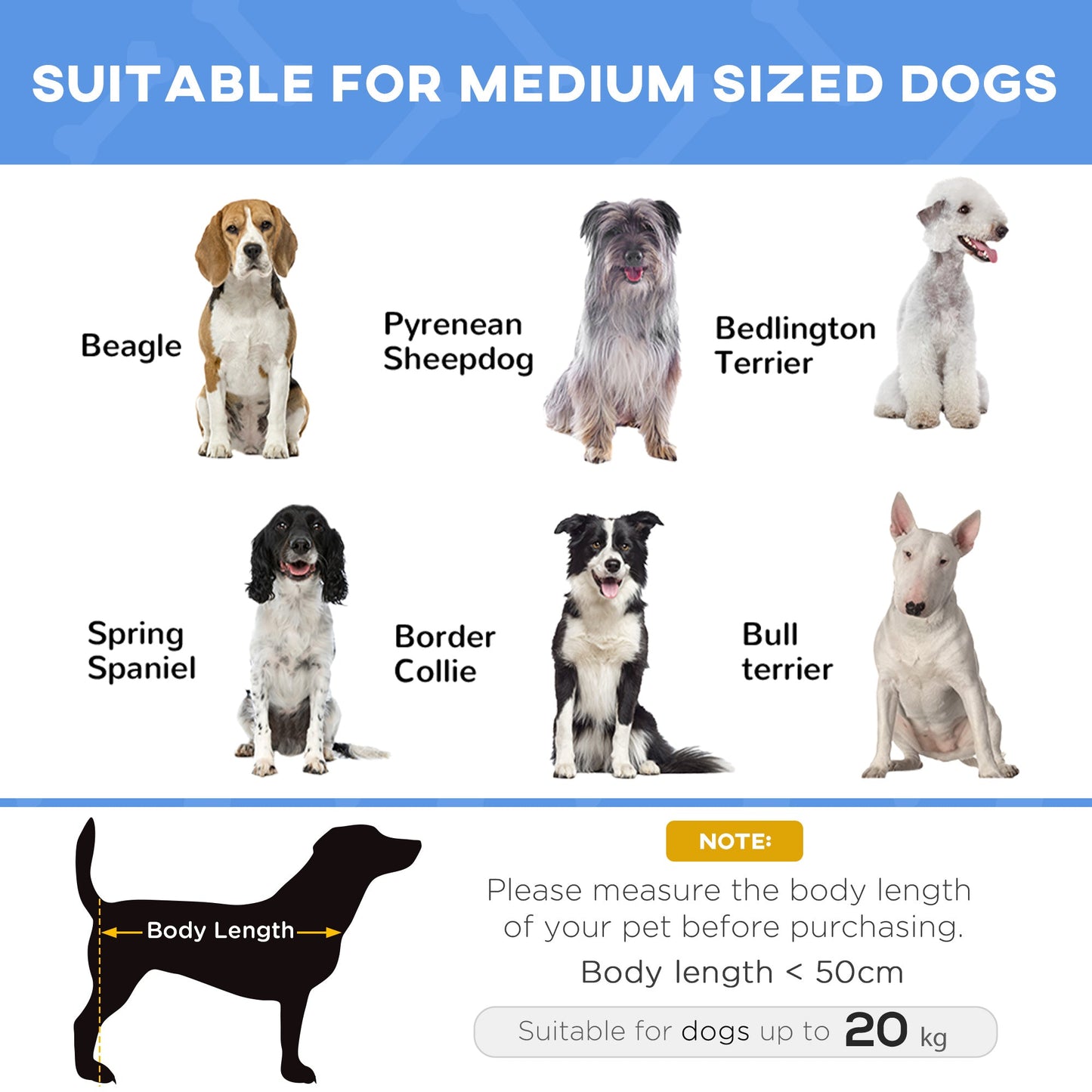 Elevated Portable Dog Bed for Camping and Outdoor Use - Blue